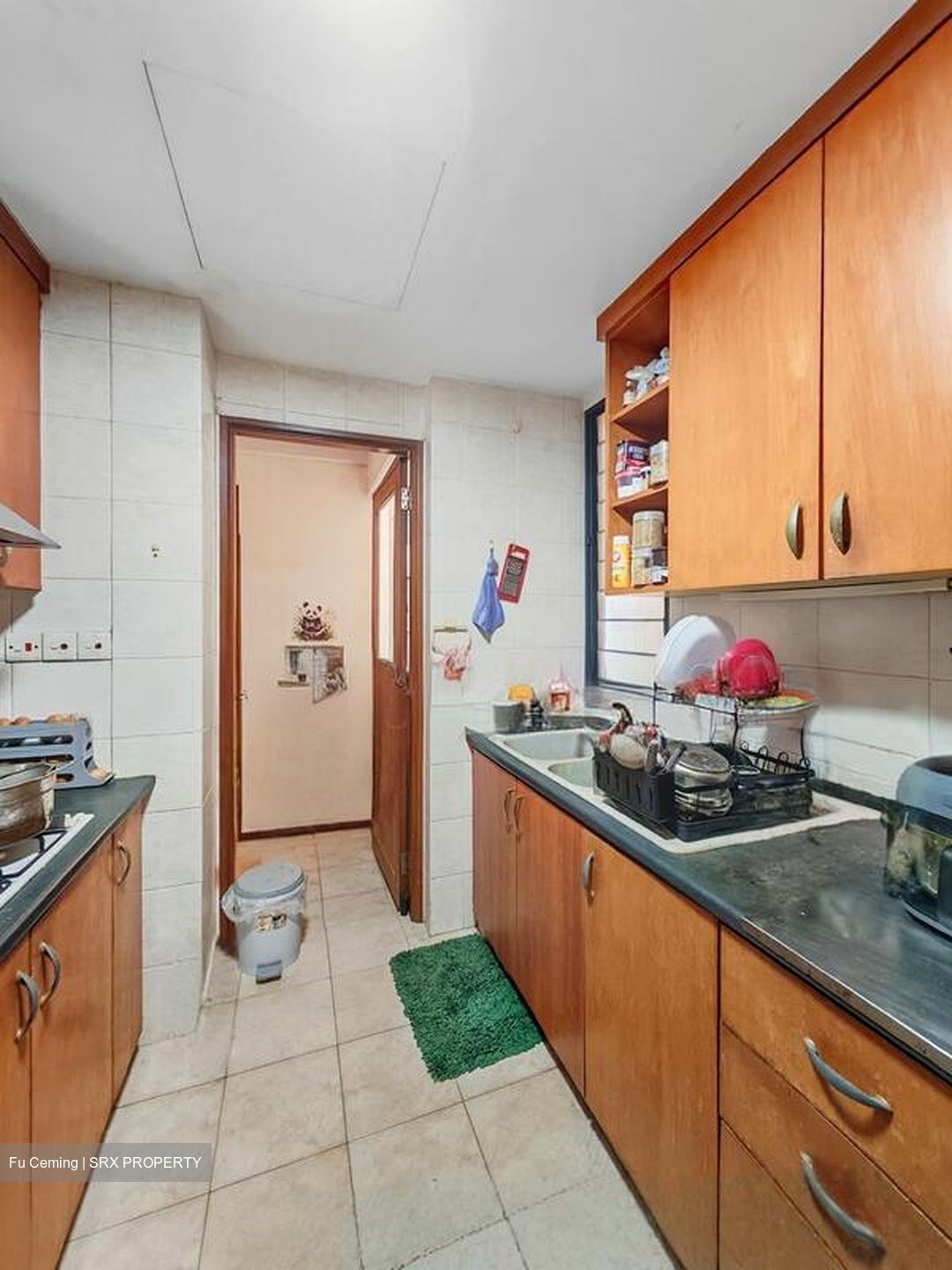 Tanglin View (D3), Condominium #500303511